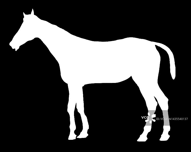 马的轮廓，形状图片素材