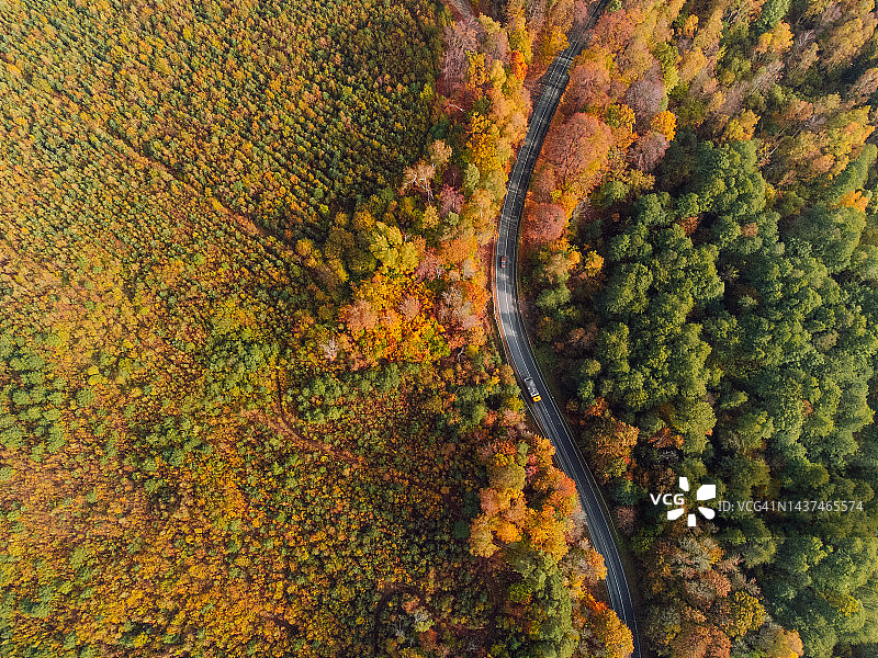 无人机俯瞰令人惊叹的秋季森林和穿过森林的道路图片素材