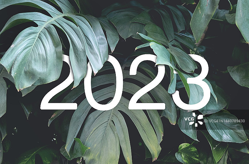 2023年新年白色文字隐藏在天然绿色怪兽的叶子里。花卉排版设计图片素材