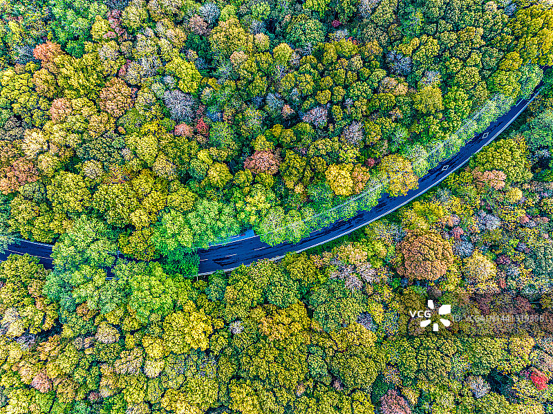 航拍的道路在秋天五颜六色的树林图片素材