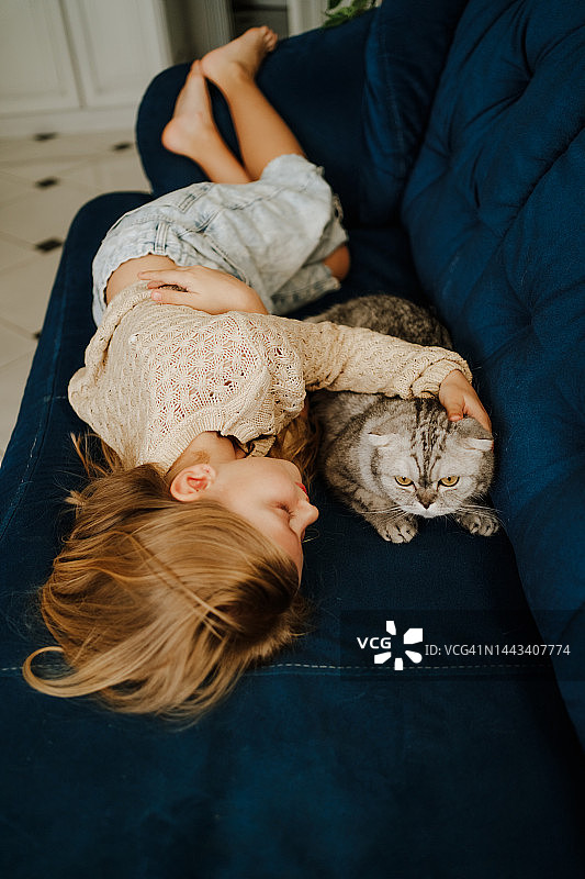 周末照顾宠物，放松一下。小女孩和家养的灰猫躺在沙发上图片素材
