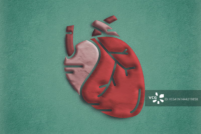 红色背景的毛毡织物制成的解剖心脏图片素材