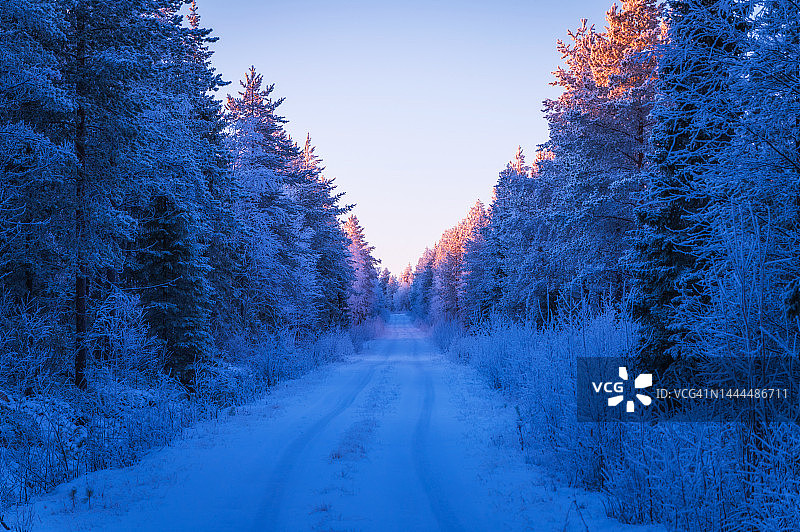 冬天，积雪覆盖的道路穿过森林图片素材