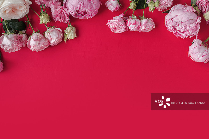 抽象花卉背景展示潮流颜色2023万岁品红。牡丹和玫瑰制作框架与复制空间的设计图片素材