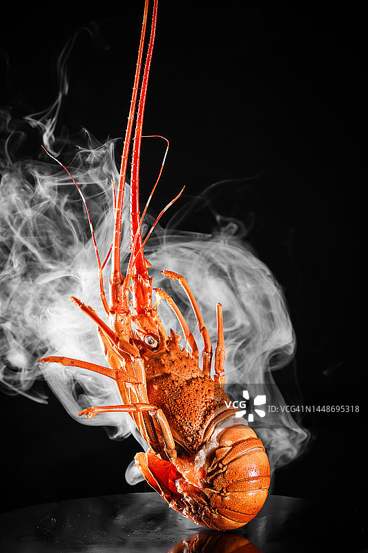 海鲜龙虾图片素材