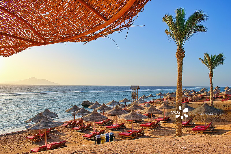 埃及红海，有棕榈树和太阳伞的田园诗般的海滩图片素材