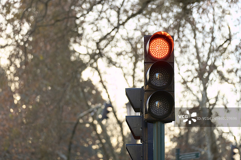 前方人行横道的红绿灯特写，没有人，背景是树图片素材