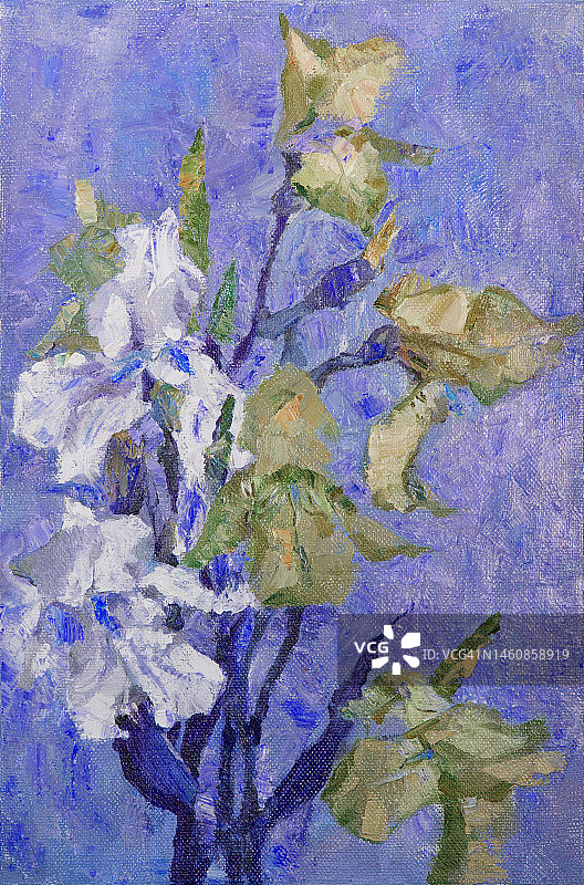 插图艺术作品油画花卉景观盛开的鸢尾花在蓝色背景图片素材
