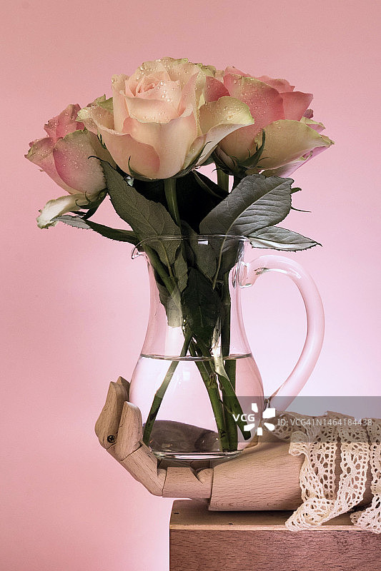 克罗地亚萨格勒布，粉红色背景下花瓶中的粉红玫瑰特写图片素材