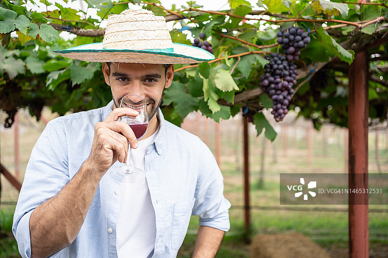 年轻快乐的西班牙人在葡萄地里品酒。快乐的有魅力的男性在葡萄园享受一杯葡萄酒。图片素材