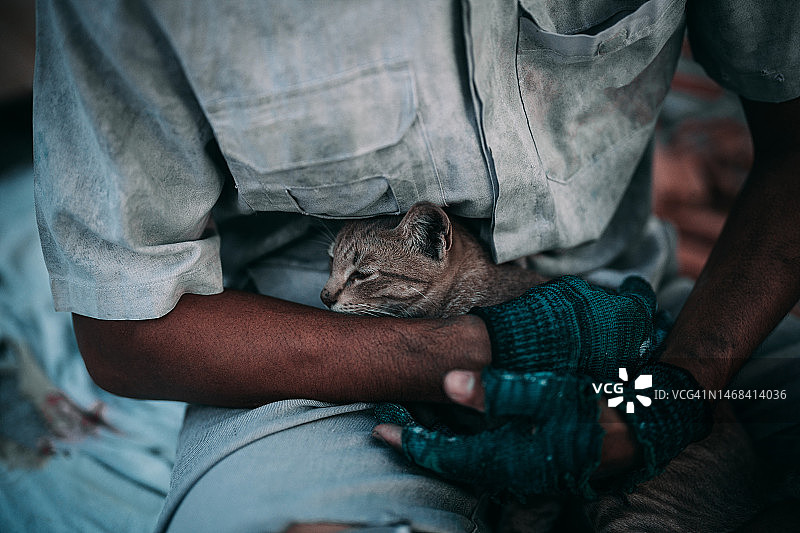 亚洲无家可归的人抱着他的猫在一片荒地上，抱着一个房子形状的纸箱。图片素材