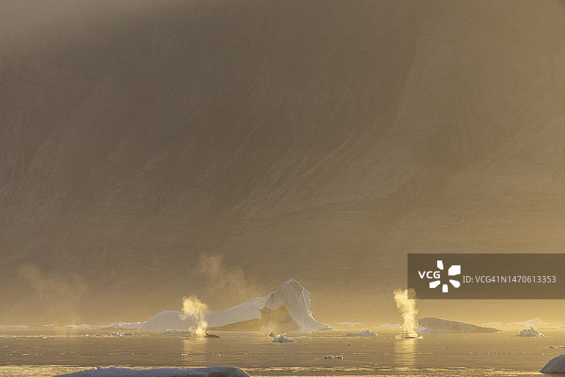 喷水长须鲸和冰山，乌曼纳克，格陵兰岛图片素材