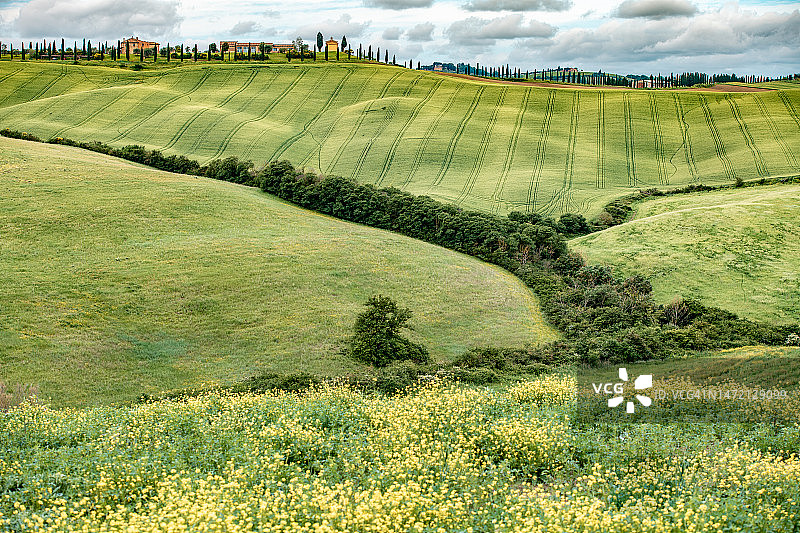 春天的托斯卡纳风景-克里特岛塞内西，托斯卡纳，意大利图片素材