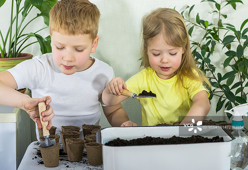 两个男孩和女孩正在准备装有土壤的花盆，为新的春天播种种子图片素材
