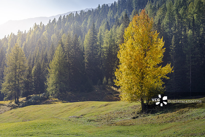 瑞士阿尔卑斯山脉的秋天，格劳宾登，恩加丁山谷，圣莫里茨的高山景观图片素材