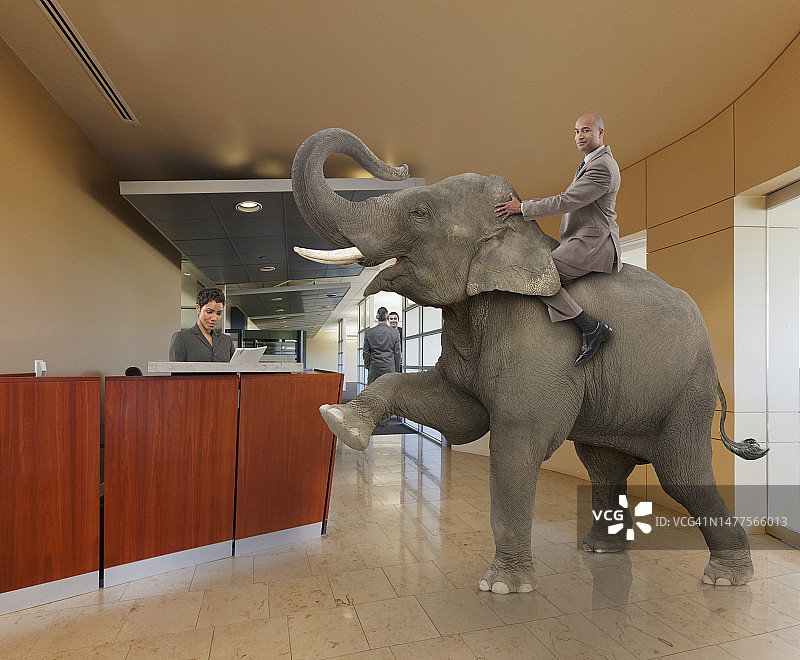 一个商人在公司办公室里骑大象图片素材