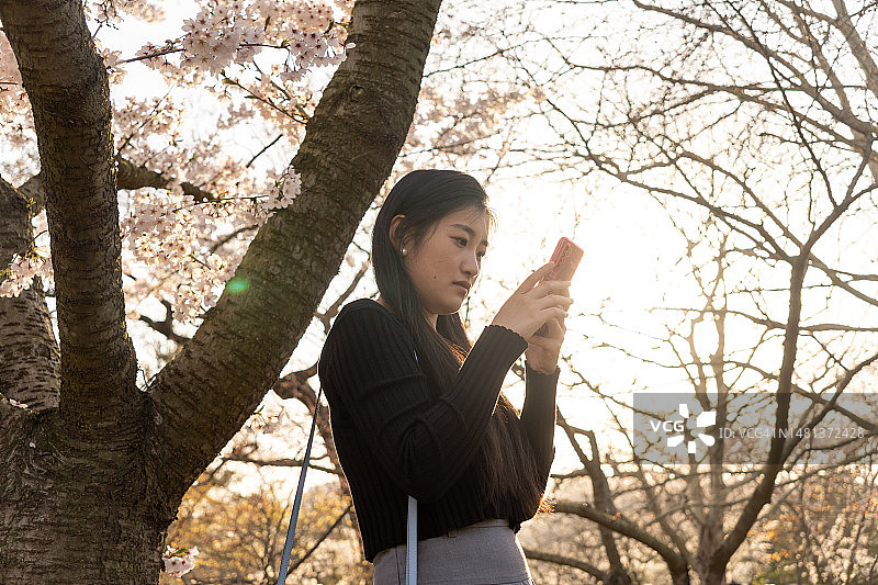 一名亚洲女性正在使用智能手机图片素材