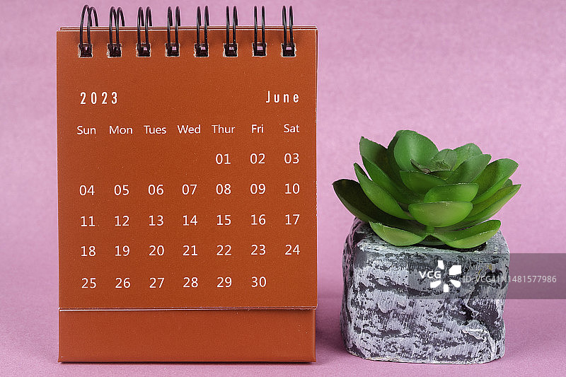 日历桌2023:六月是组织者计划和截止日期的月份，在粉红色的纸背景下放置室内植物。图片素材