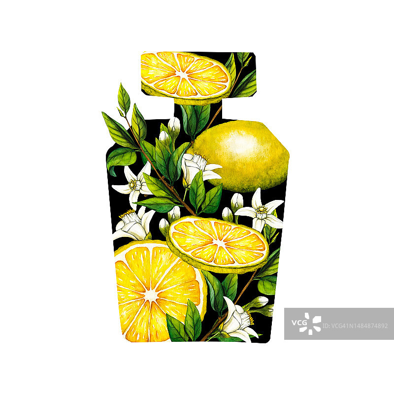 水彩花香香水瓶，柠檬树枝，水果和花朵。手绘插图花芳香喷雾隔离在白色背景的贺卡，婚礼邀请和生日图片素材