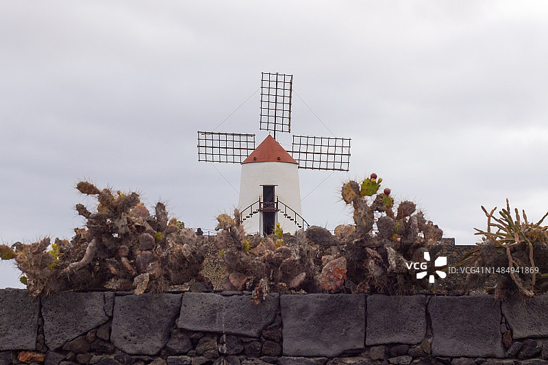 兰萨罗特岛的风车图片素材