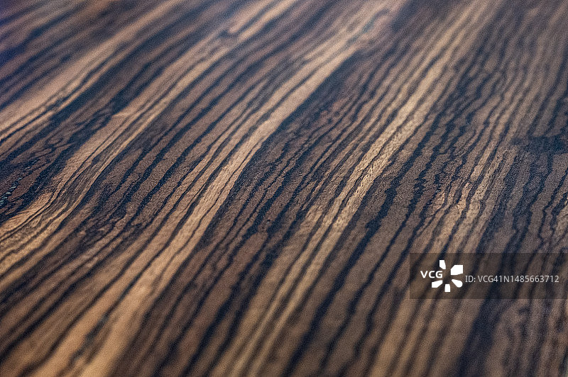 自然棕色木材斑马图案背景的网页标签设计。图片素材
