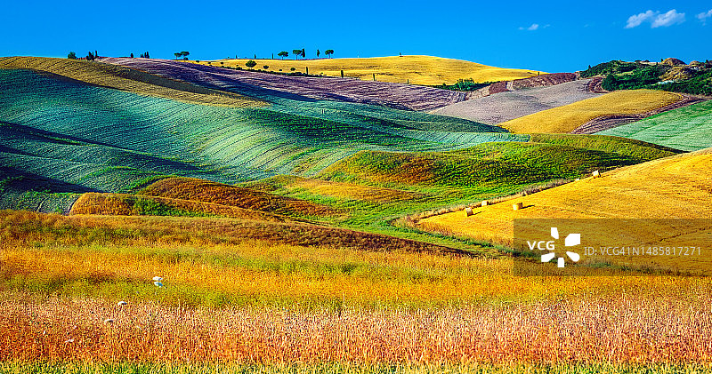 罗马尼亚，天空映衬下的田野风景图片素材