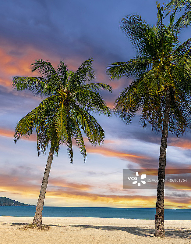 芭东海滩普吉岛泰国漂亮的白色沙滩清澈的蓝色和绿松石水和可爱的蓝天与棕榈树图片素材
