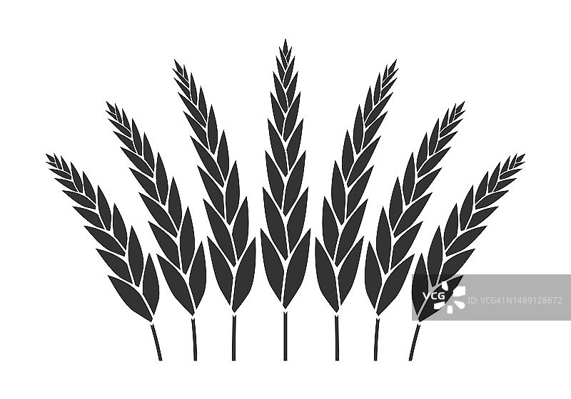 小麦，谷物图标。谷类、大麦的象征。农业的设计。矢量插图。图片素材