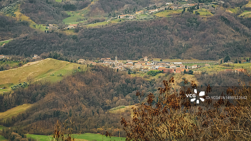 意大利维琴察省，阿齐亚戈，从高角度看田野上的树木图片素材