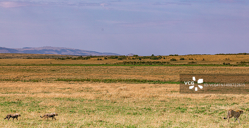 肯尼亚，天空衬托下的田野风景图片素材