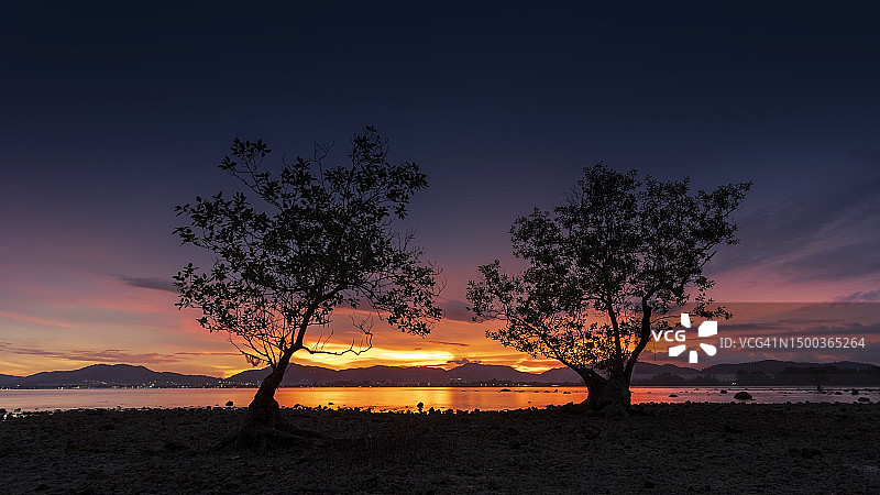 日落时，泰国普吉岛海滩上树木的剪影映衬着天空图片素材