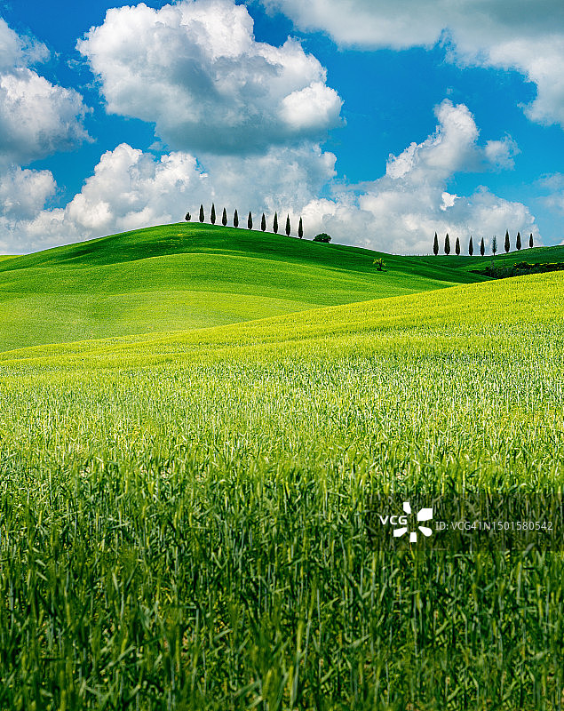意大利奥恰谷托斯卡纳的春景图片素材