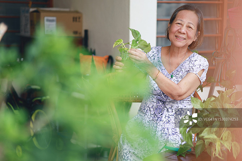 一位快乐的亚洲老年妇女正在用园艺工具为一株室内植物重新盆栽，把宝贵的时间花在她的爱好上。图片素材