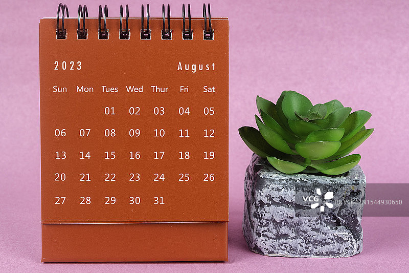 2023年日历桌:8月是组织者计划的月份，最后期限是在粉红色的纸背景上种植室内植物。图片素材