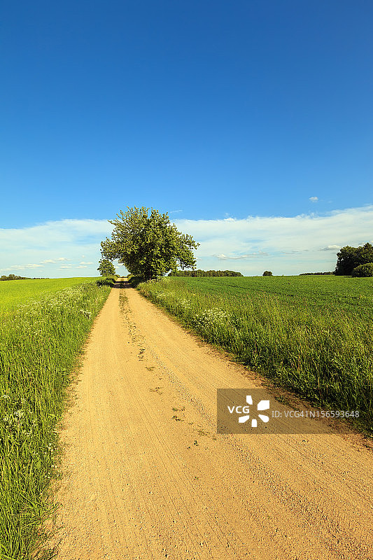 绿色的田野和乡村的道路图片素材