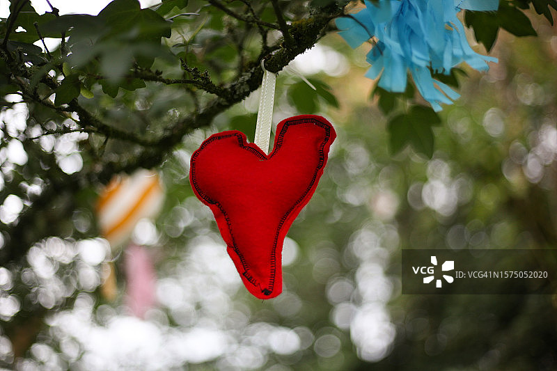 一颗心挂在树上图片素材