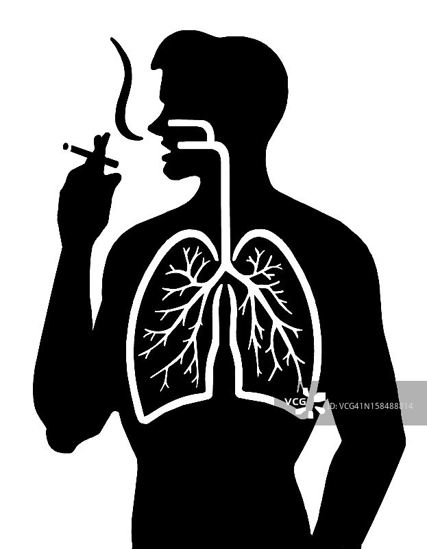 吸烟和肺部图片素材