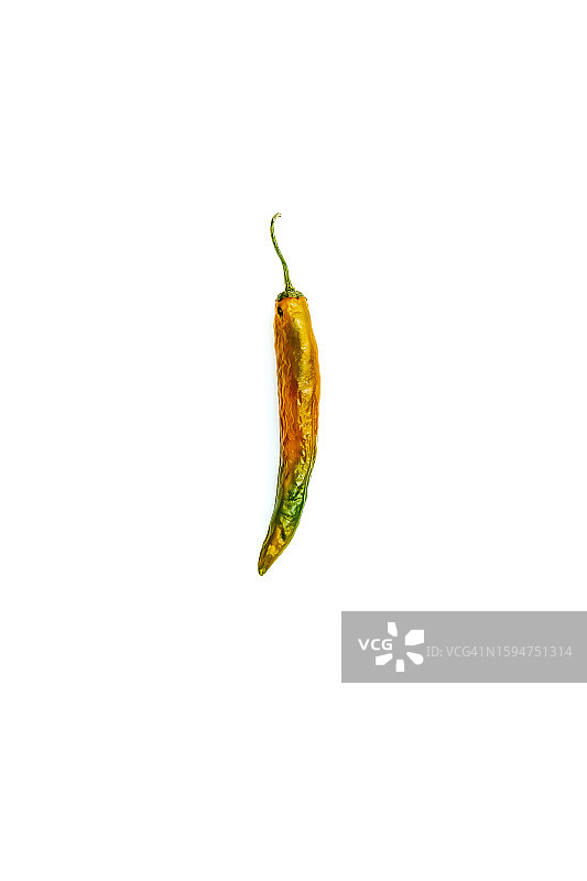 单个绿色辣椒在白色背景上变色为橙色/红色的库存照片图片素材