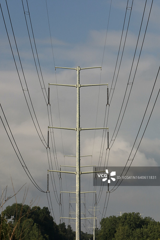 电网的高压电线在树木上方图片素材