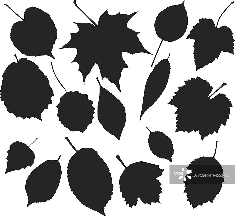 白色背景下的叶子的黑色剪影图片素材