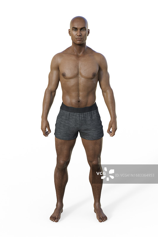 男性中形态体型，图示图片素材