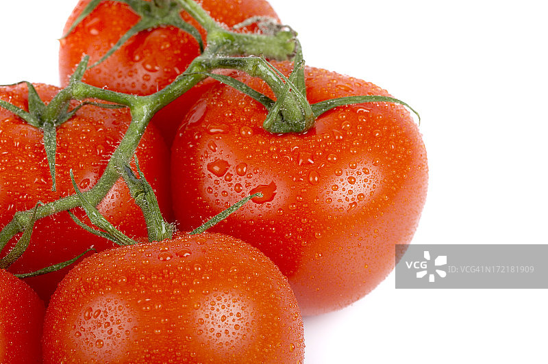 新鲜西红柿，孤立在白色背景上图片素材