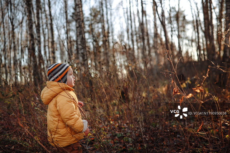 沉思的幼童:穿黄夹克、戴黄帽子的孩子观察秋林中的树枝。本空间图片素材