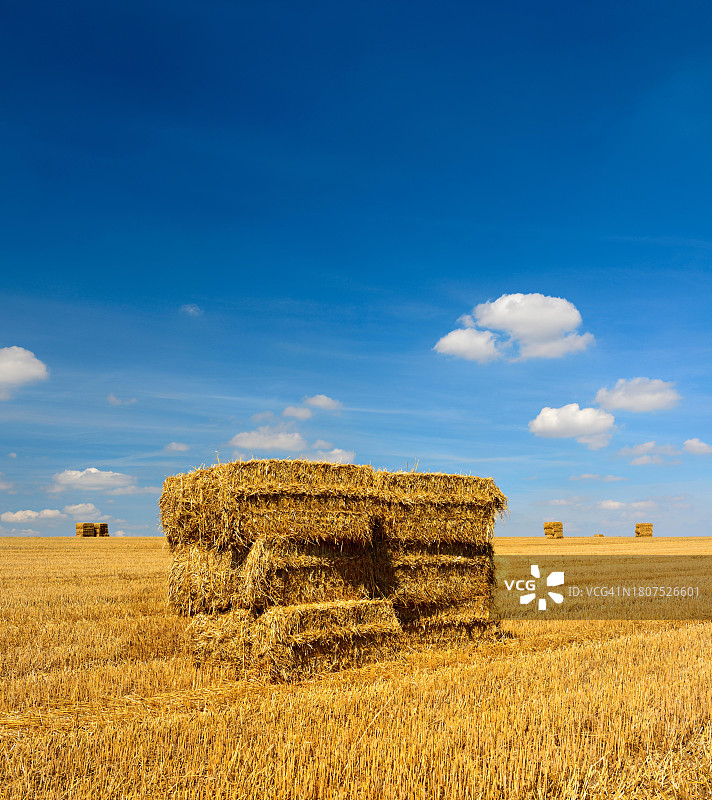 德国萨克森-安哈尔特州萨勒克雷斯，收获季节，夏天蓝天白云下的麦田里堆满了稻草捆图片素材
