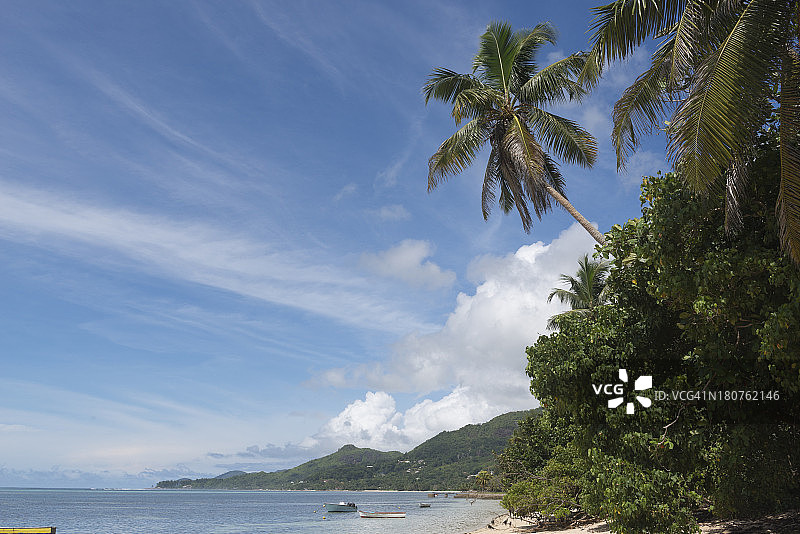 孤独的热带梦幻海滩图片素材