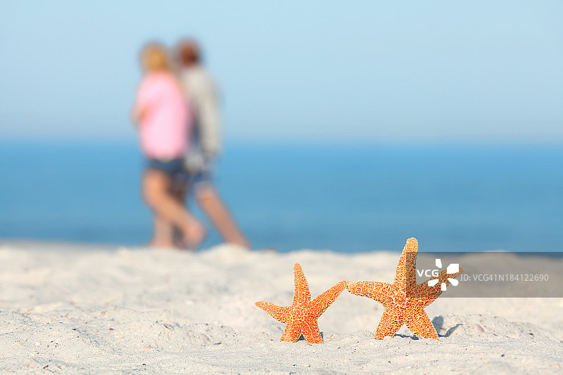 海滩上的两只海星和一对夫妇图片素材
