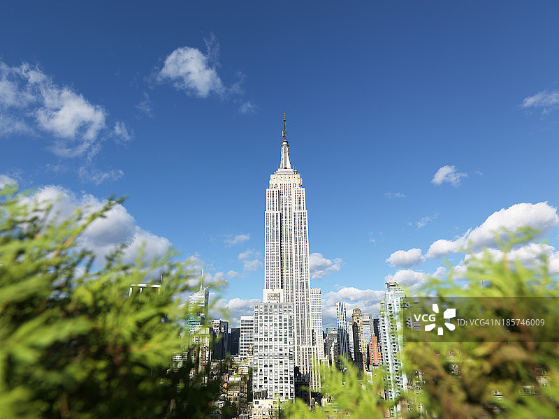 纽约市摩天大楼的低角度视图图片素材