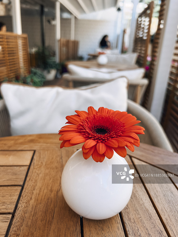 新鲜的橙色非洲菊花装饰对舒适的人行道咖啡馆内部背景图片素材