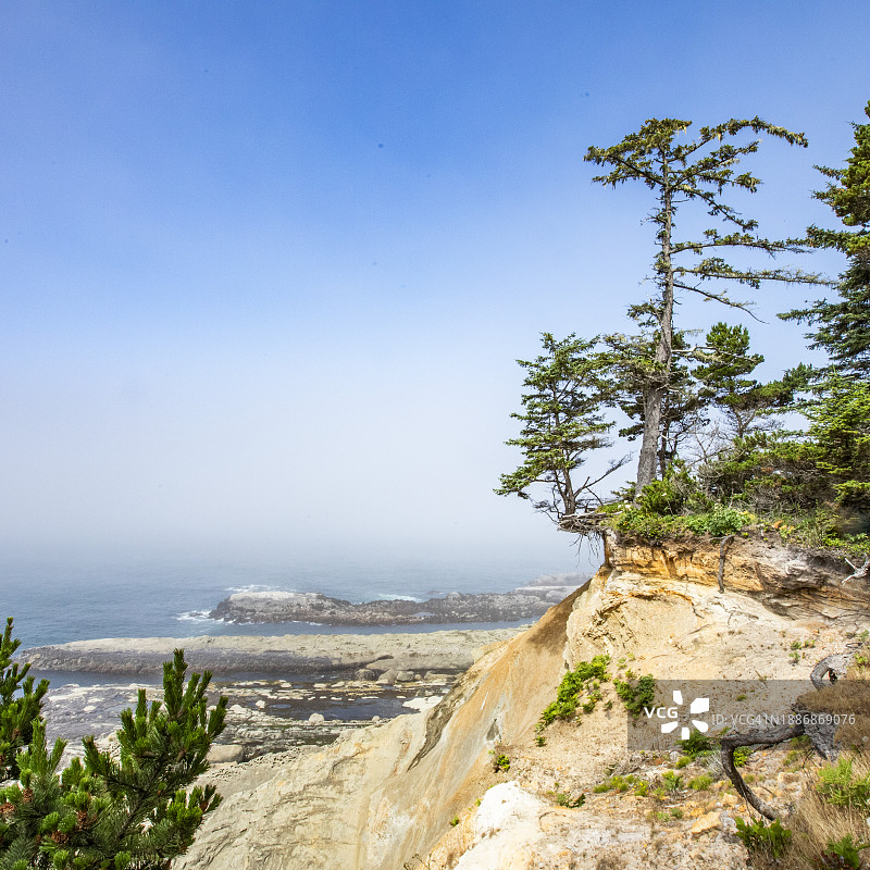美国，俄勒冈州，库斯湾，岩石海岬和沿海岸的树木图片素材