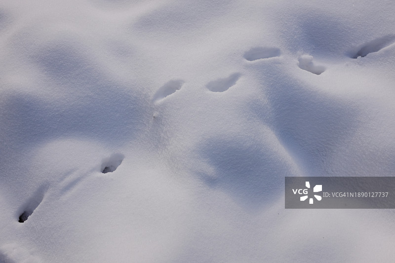 德国陶纳斯，积雪覆盖的土地的高角度视图图片素材